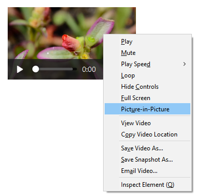Showing the default context menu when opened on a video element, with the Picture-in-Picture menu item highlighted.