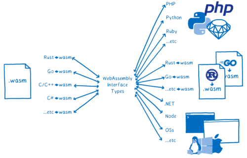 Diagram showing WebAssembly interface types in the middle. On the left is a wasm module, which could be compiled from Rust, Go, C, etc. Arrows point from these options to the types in the middle. On the right are host languages like JS, Python, and Ruby; host platforms like .NET, Node, and operating systems, and more wasm modules. Arrows point from these options to the types in the middle.